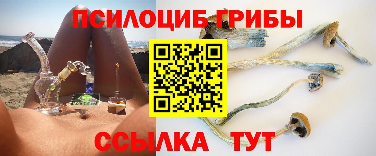 Псилоцибиновые грибы Psilocybe  Галлюциногенные грибы мухоморы  Ессентуки  Вход с VPN 