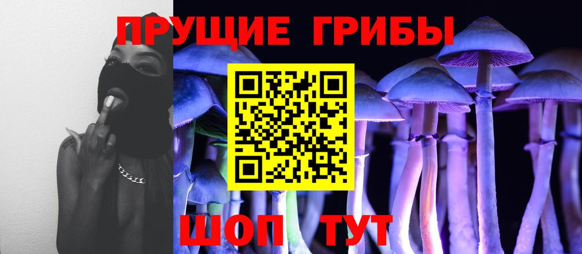 Псилоцибиновые грибы Magic Shrooms Ессентуки